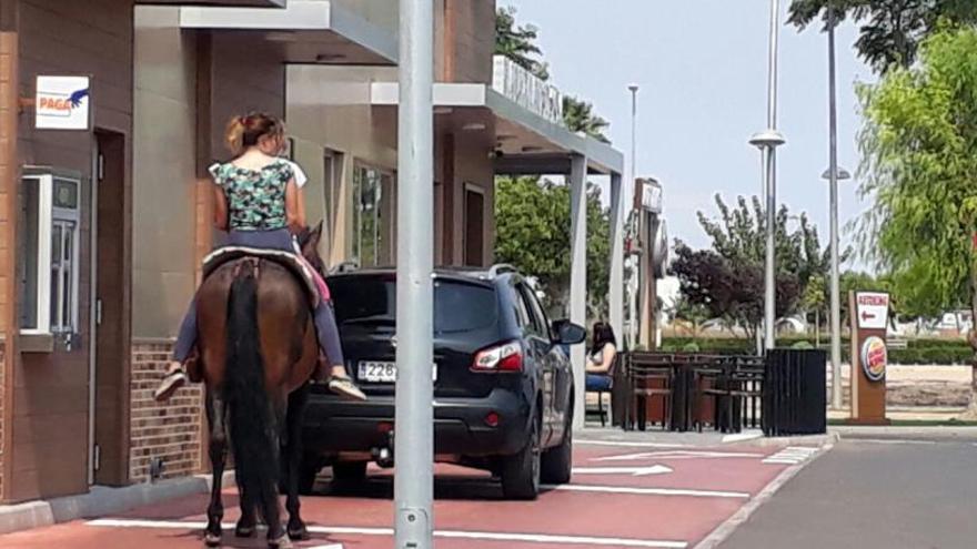 Imagen del caballo en el carril del &quot;autoking&quot; de Pilar de la Horadada