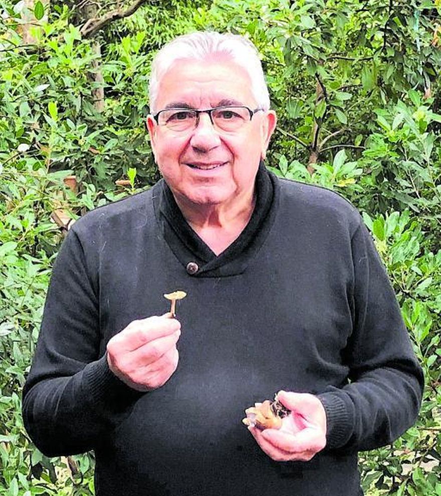 Carles Constantino ist Pilzkenner, Naturwissenschaftler und Internist