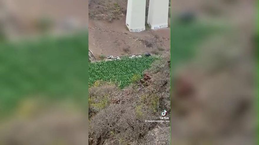 Los policías de la UIP de València, saliendo del hotel de Mallorca