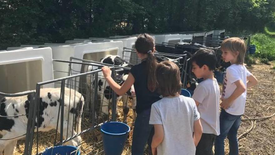 Un grup de nens observa les cabres d&#039;una explotació de la Cerdanya especialitzada en el formatge