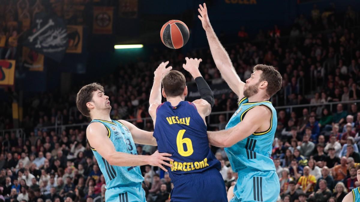 Jan Vesely, ante Fenerbahçe