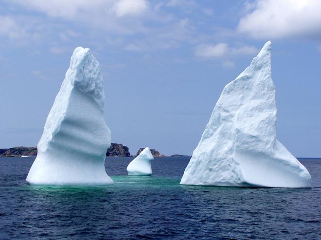 Iceberg, Terranova