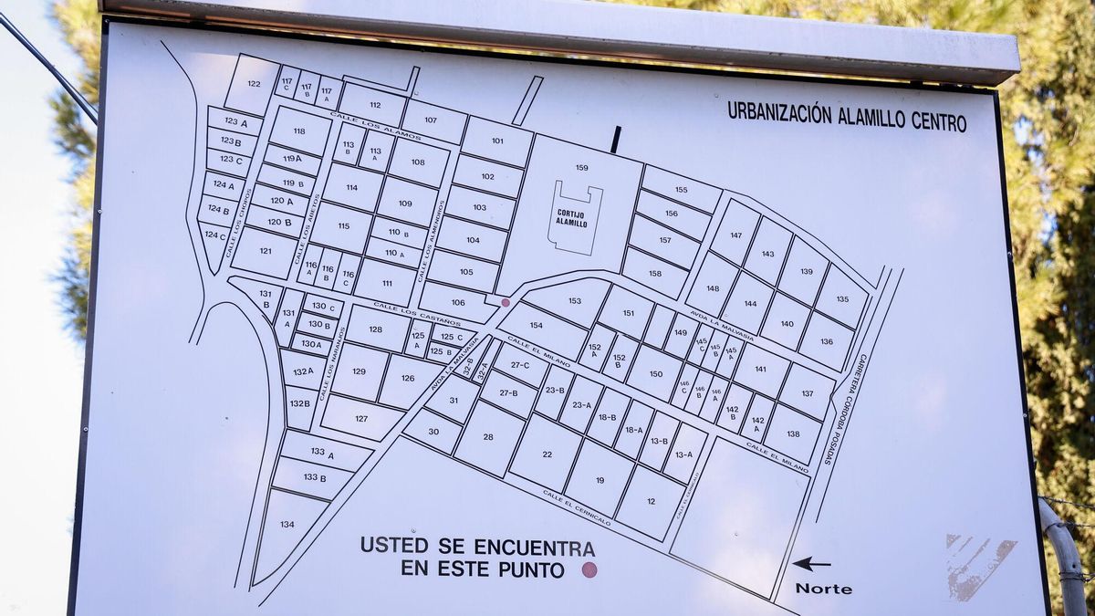 Reparto de parcelas de El Alamillo.