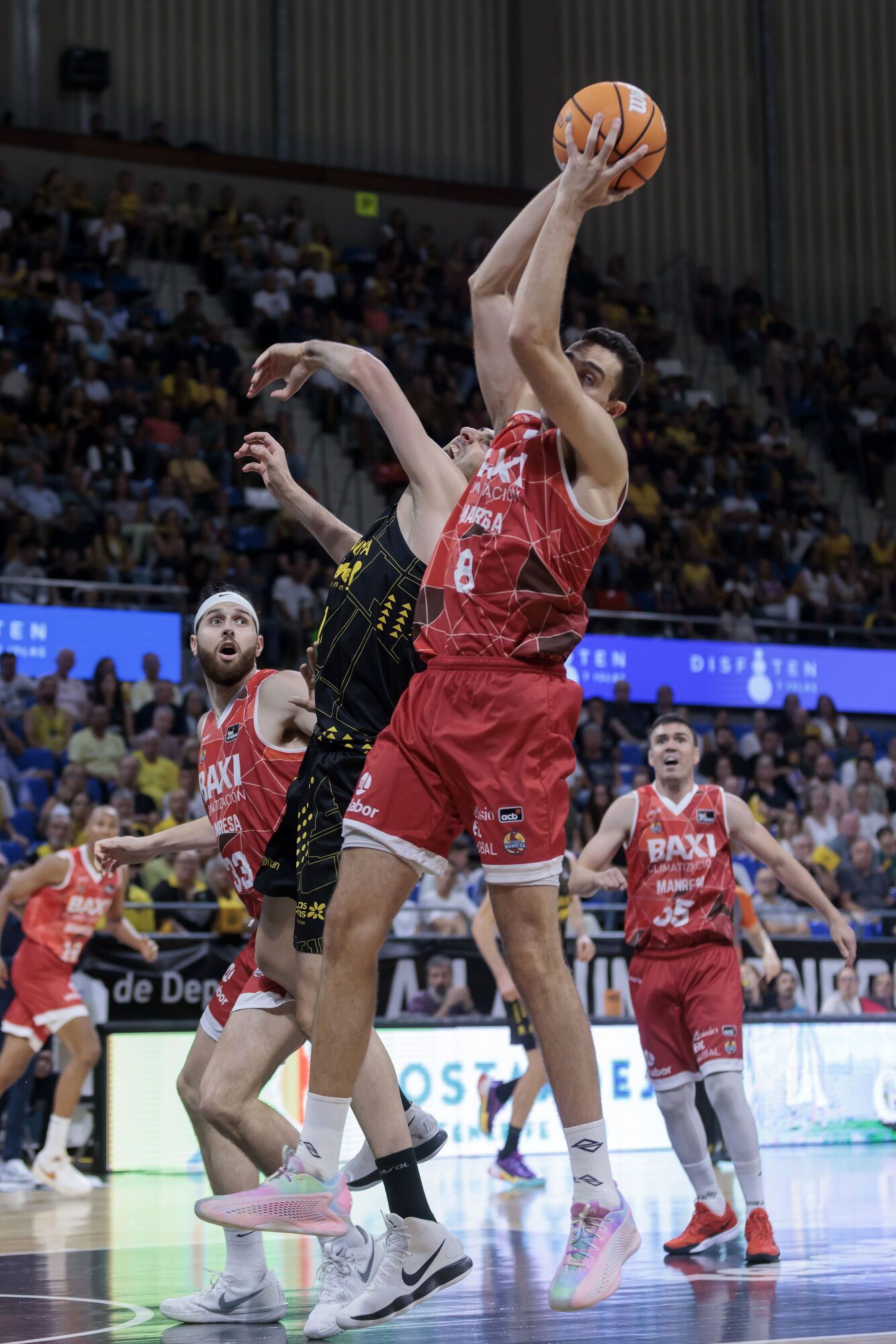 Les imatges del La Laguna Tenerife - Baxi Manresa