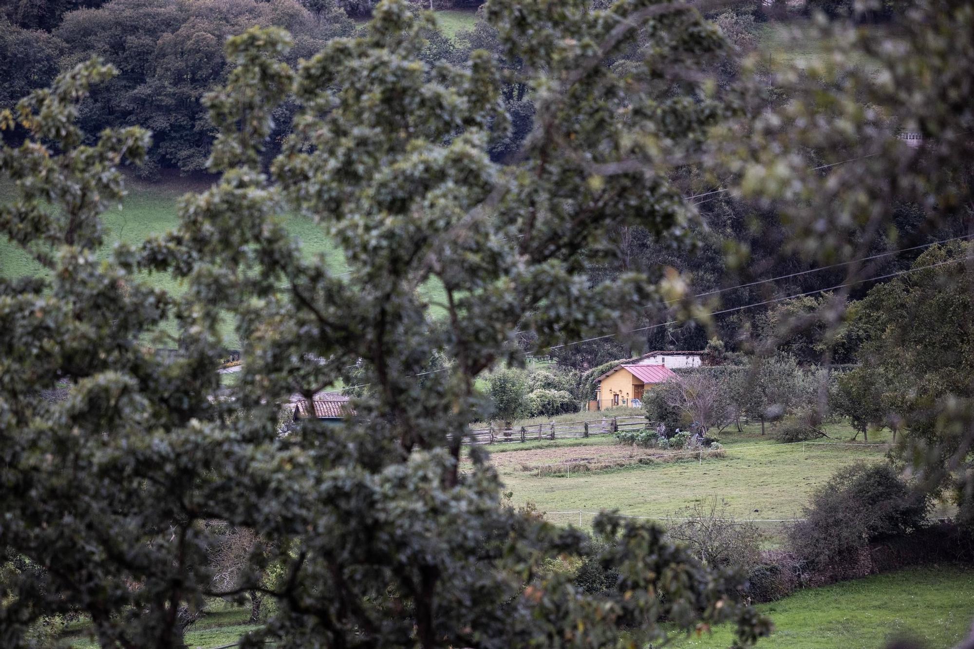 Asturianos en Aller: un recorrido por el municipio