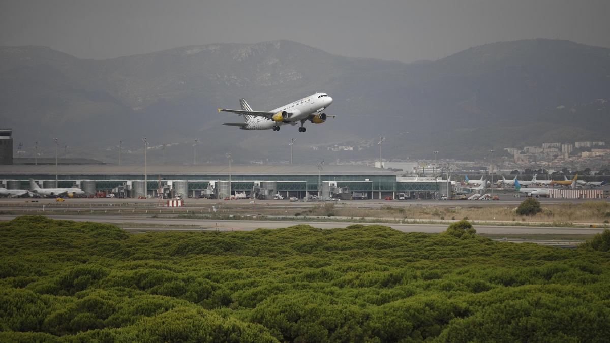 Un avión vuela por el espacio protegido de la Ricarda, en El Prat de Llobregat.