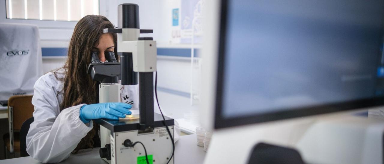 Imagen de archivo de una investigadora trabajando en un laboratorio. | | E.D.