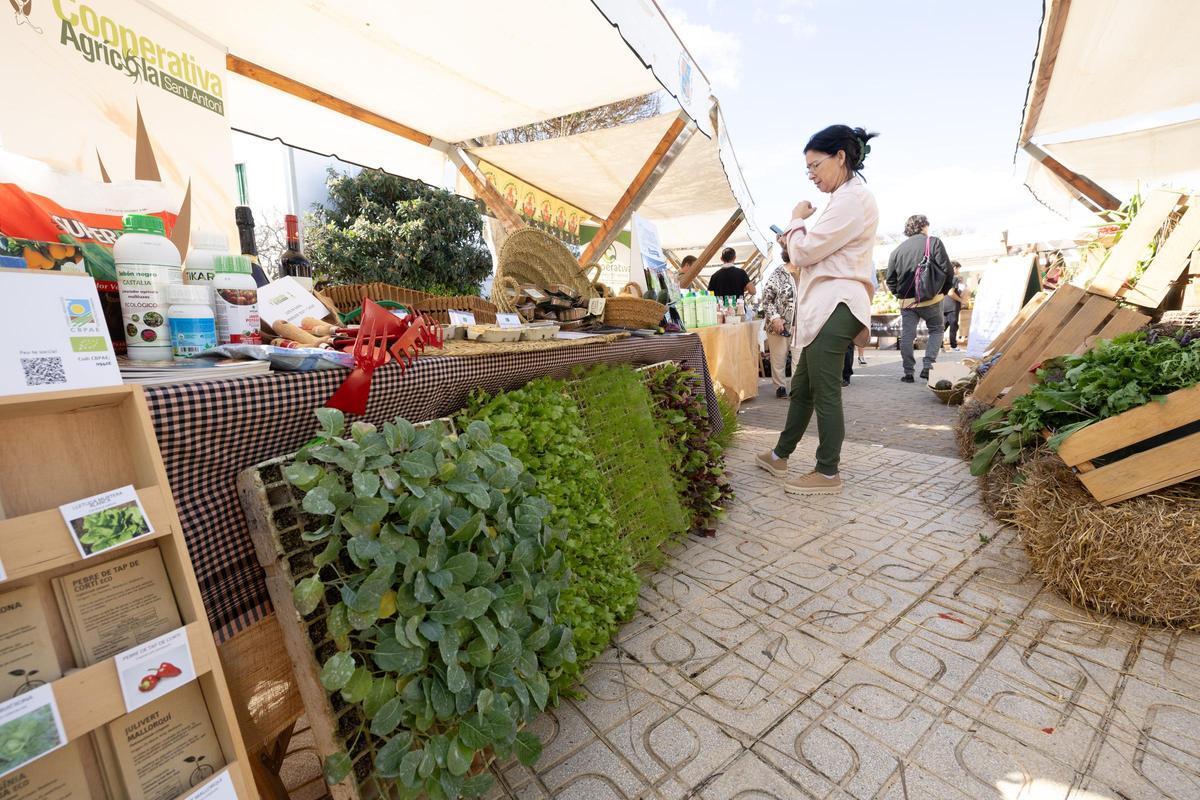 Puestos de venta en la plaza de Sant Jordi.