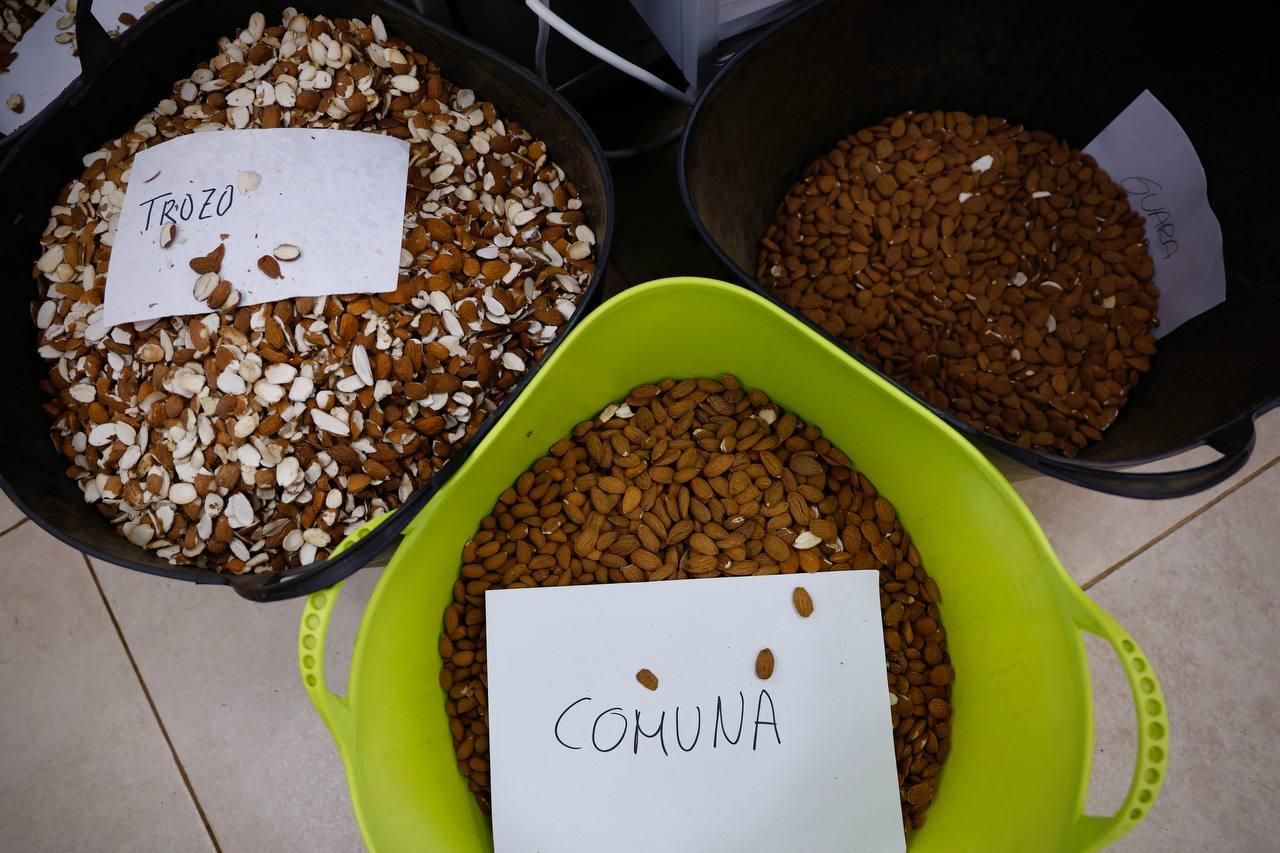La nueva planta de almedras de Dcoop en Córdoba, en imágenes