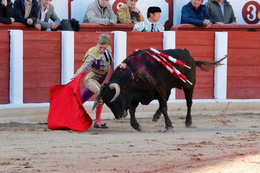 Tarde de toros en Zamora