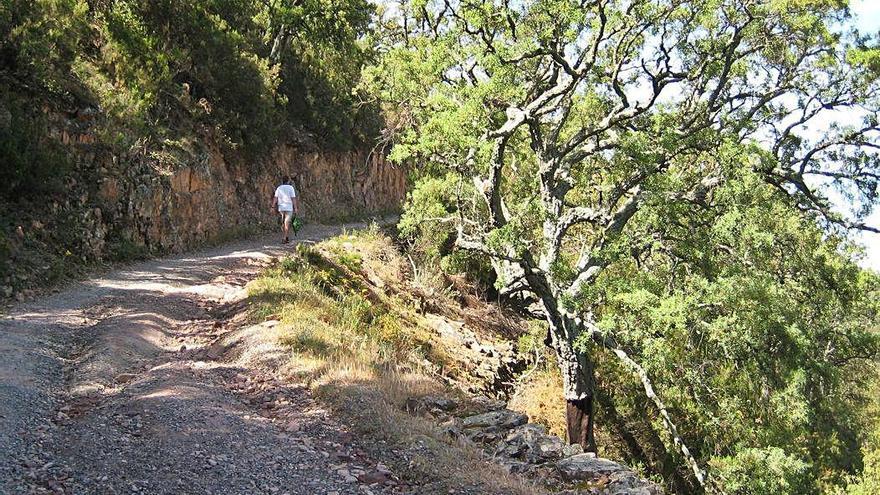 Panorámica de la Tinença de Benifassà.