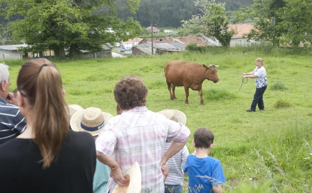 I Festa Labrega de Orro