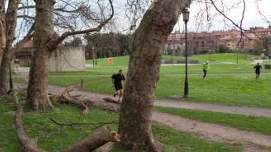 Vecinos haciendo deporte en el parque de El Lauredal, con el área residencial al fondo.