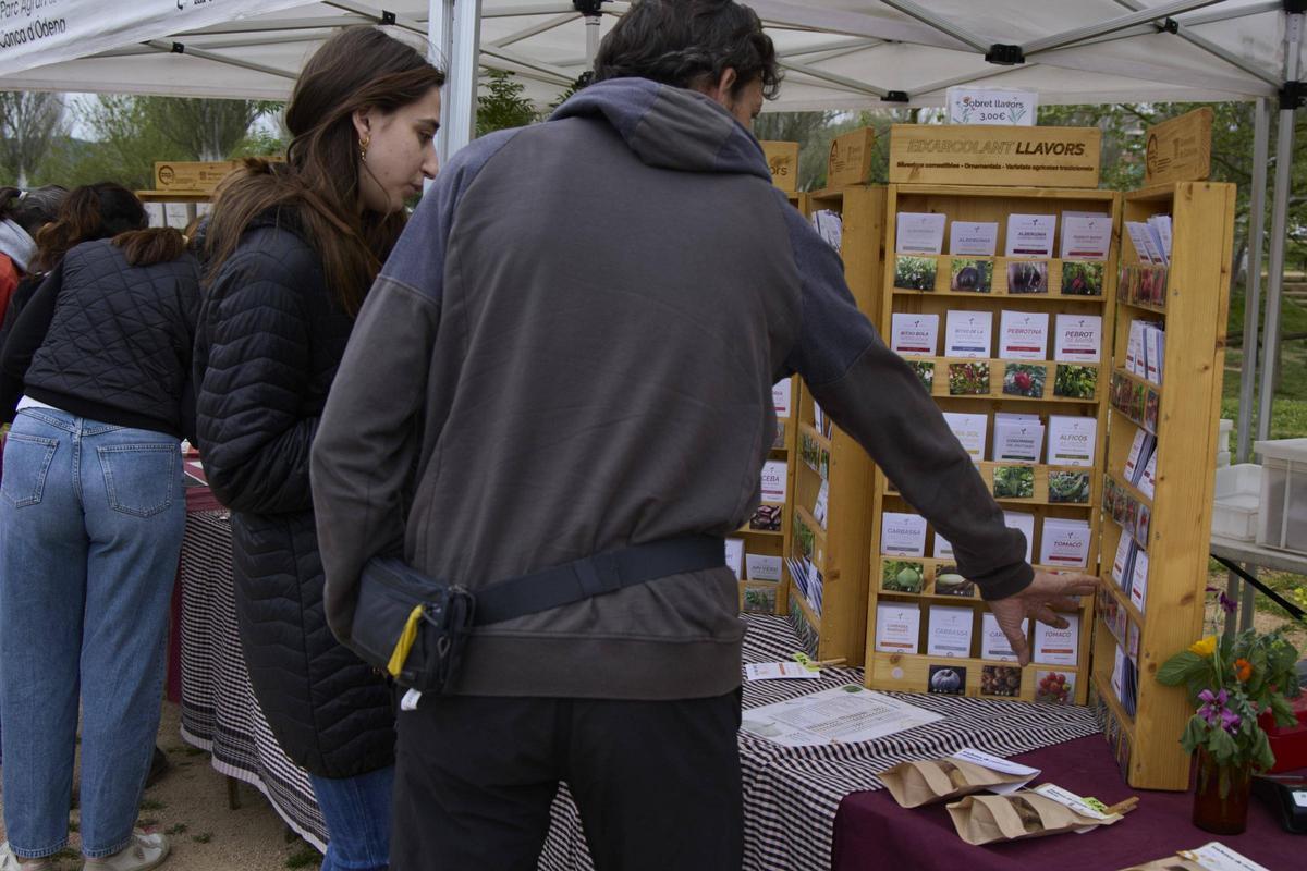 Una gentada s’ha acostat per visitar els 34 expositors presents, per participar en algun dels tallers programats o passejar per l’espai natural de la Fira de la Flor i el Planter. Una gentada s’ha acostat per visitar els 34 expositors presents, per participar en algun dels tallers programats o passejar per l’espai natural de la Fira de la Flor i el Planter.
