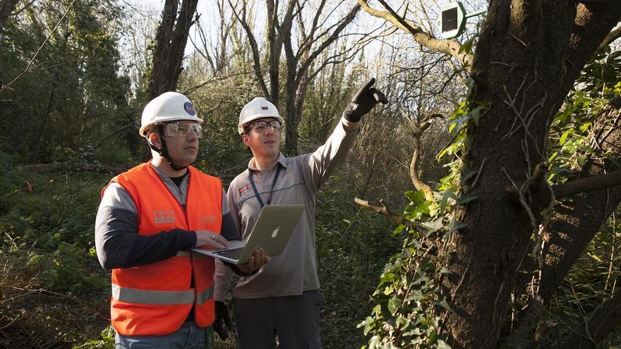 Sensores que huelen el bosque para luchar contra los incendios