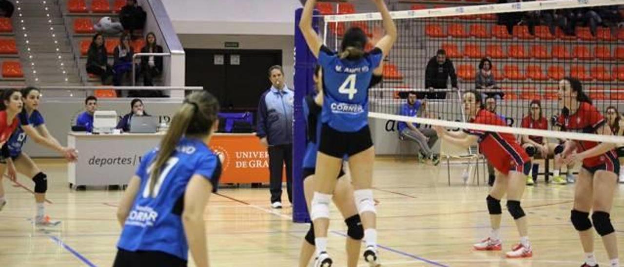 Las chicas del Xàtiva Voleibol logran tres puntos vitales ante el Granada