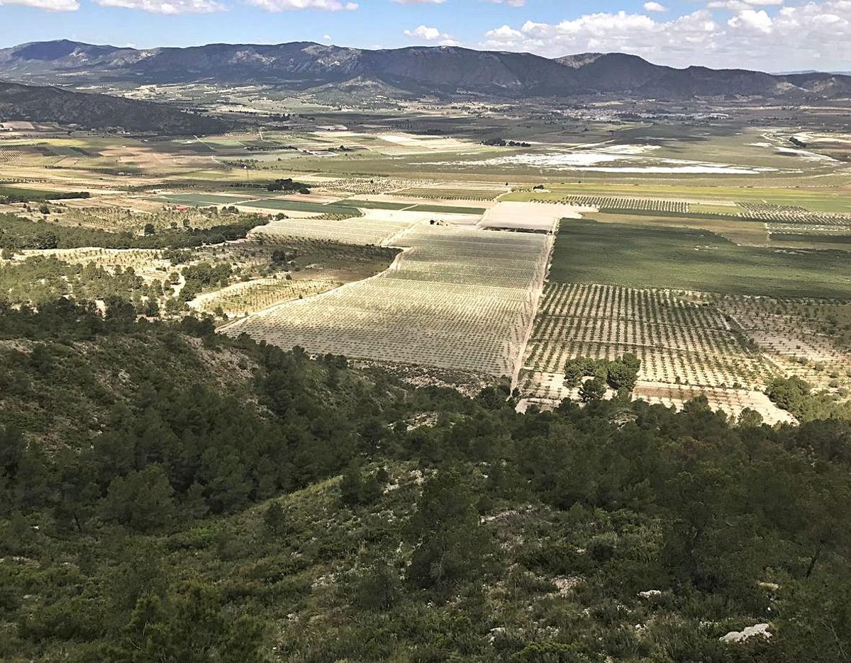 Un tesoro bajo los pies en peligro