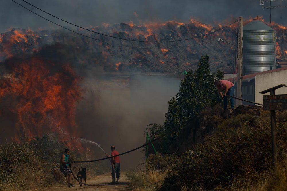 Incendio forestal Arribes