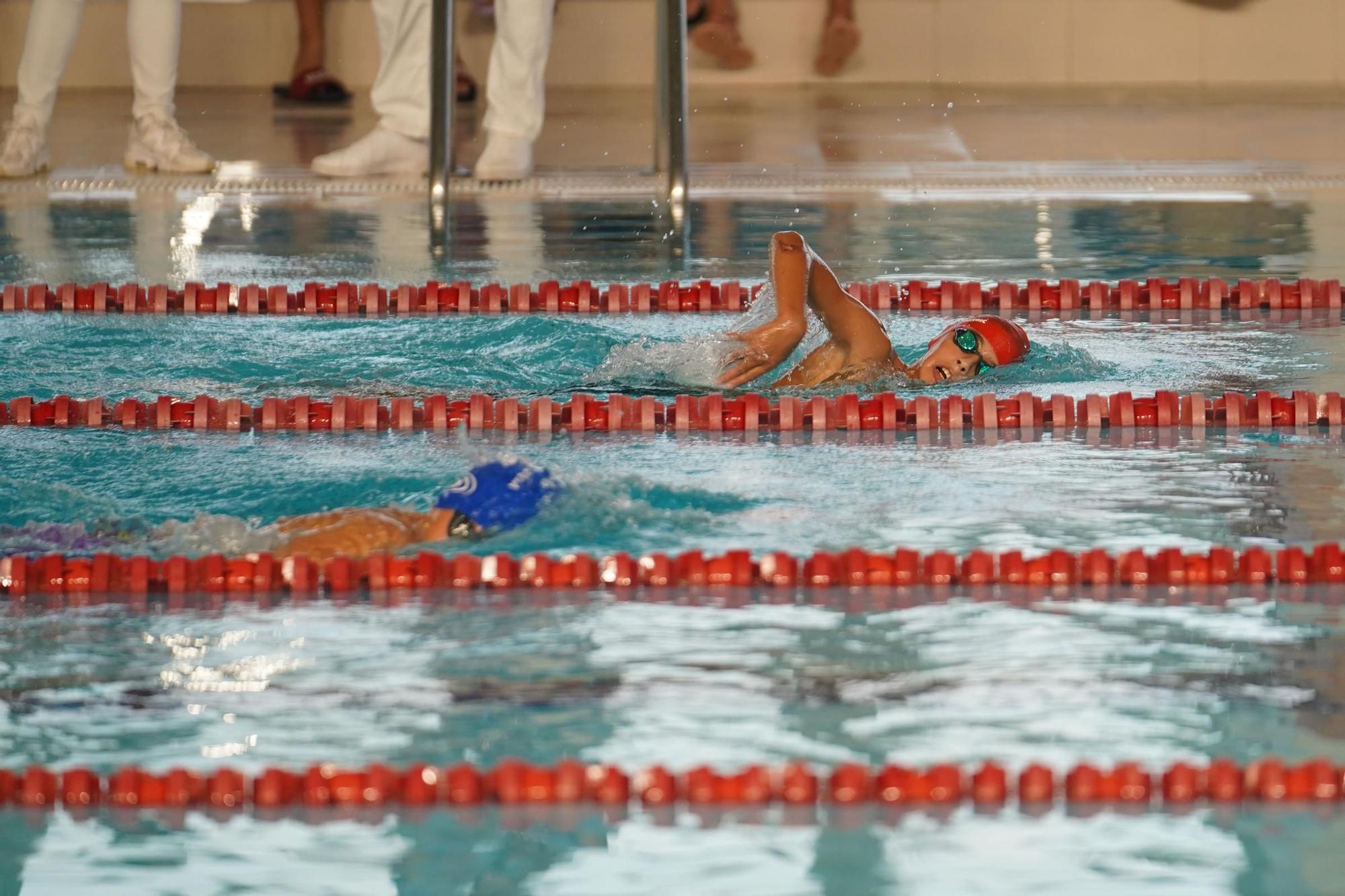 Mira aquí las imágenes del Trofeo de Natación ‘Consell de Ibiza’