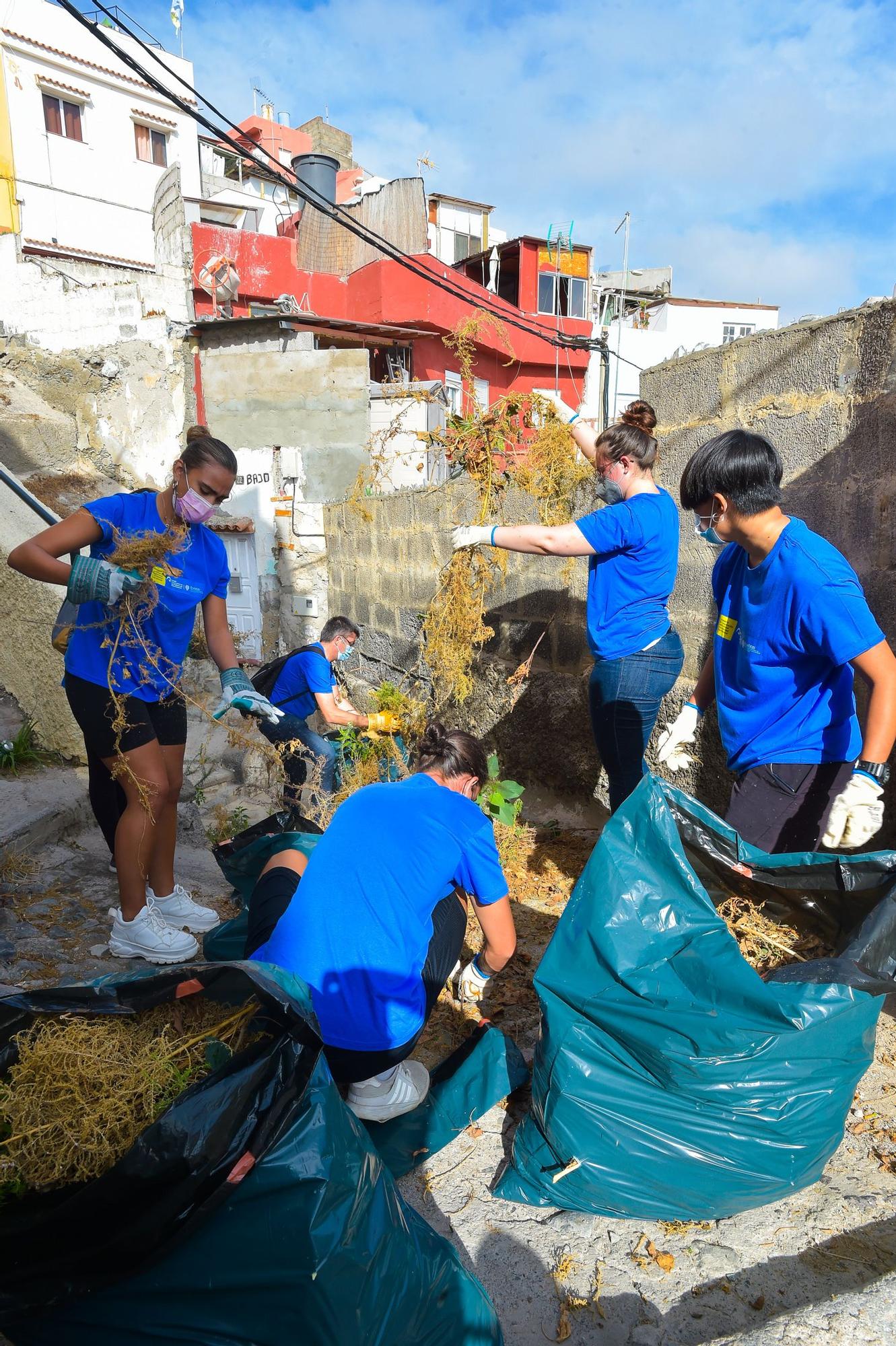 Alumnos de la ULPGC participan en las tareas de limpieza y embellecimiento en El Risco