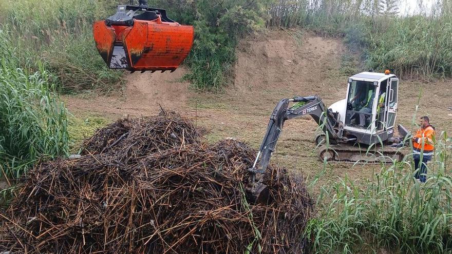 La Confederación arranca la campaña de desbroces en el río y ramblas de la cuenca del Segura ante el riesgo de dana