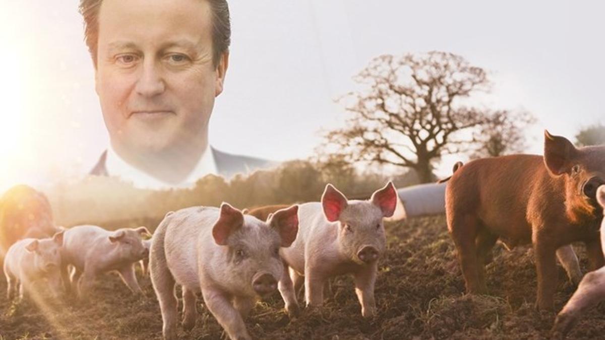 Las redes sociales no han dejado de publicar fotomontajes sobre David Cameron y los cerdos.