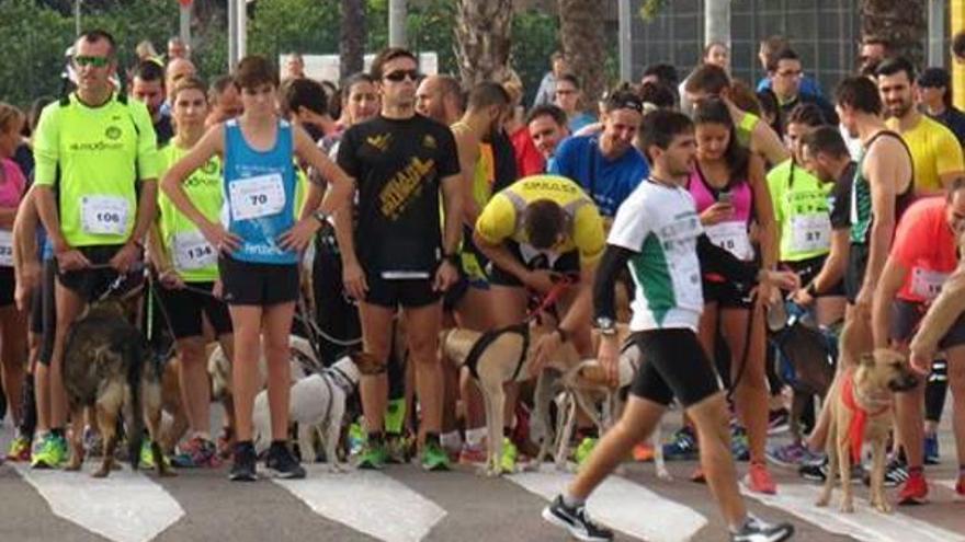 La canrrera despierta la solidaridad de Canet con los animales