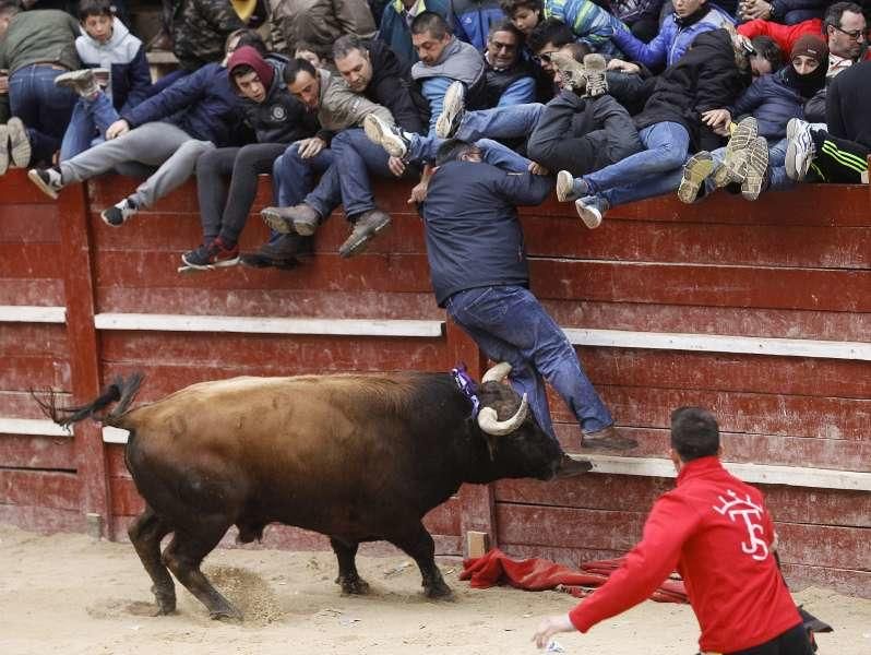 Festejos del Carnaval del Toro