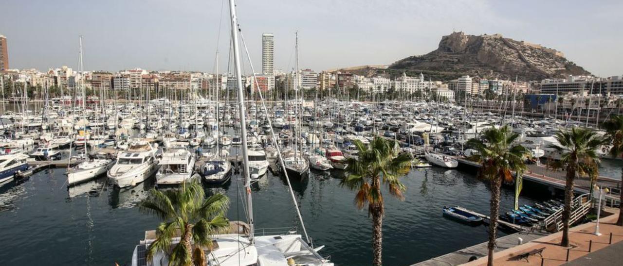 El puerto deportivo de Alicante.  | DAVID REVENGA