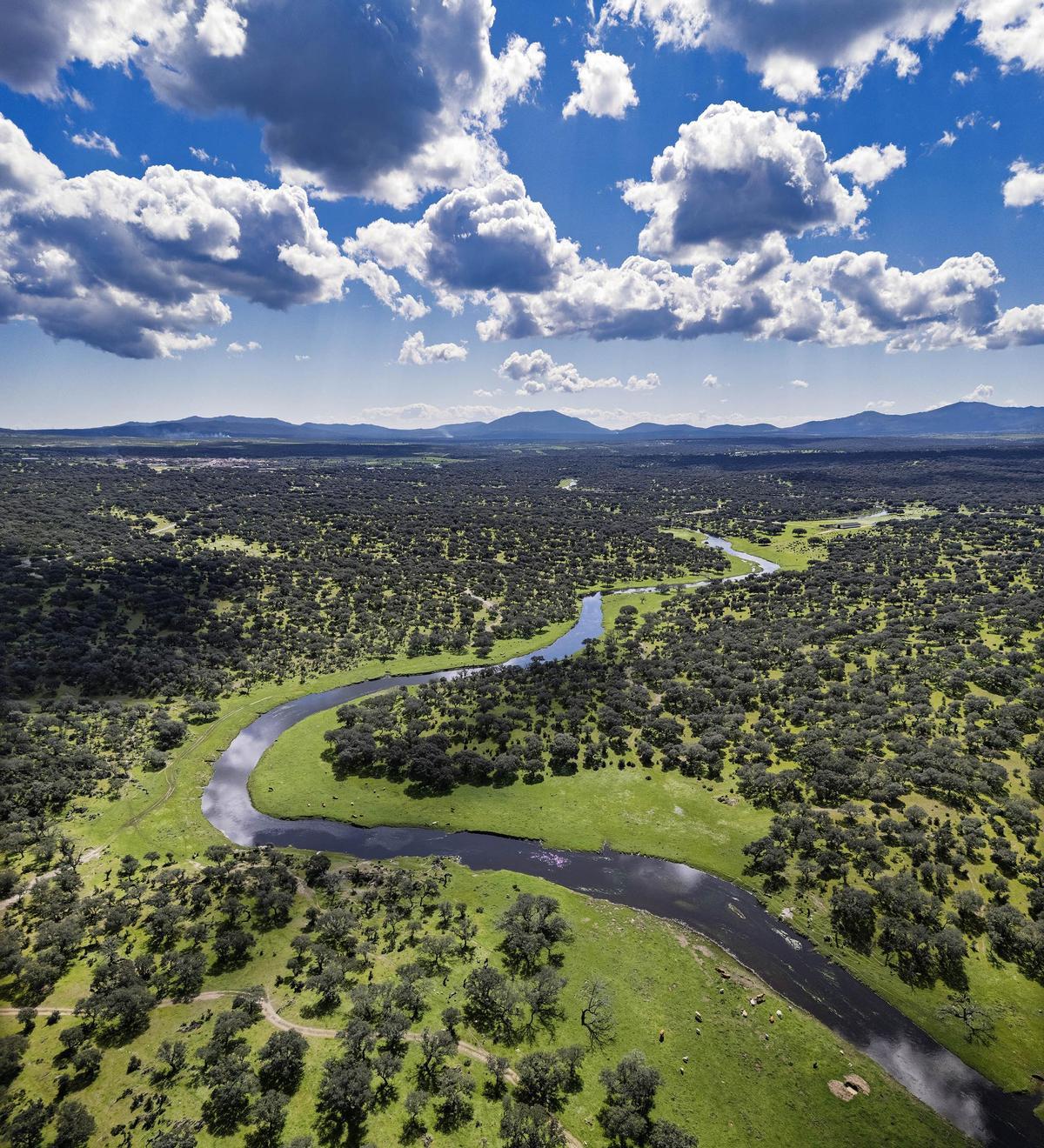 Paisaje en Botija.