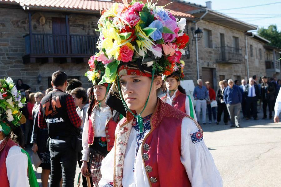 Día de la Provincia 2016 en Villardeciervos