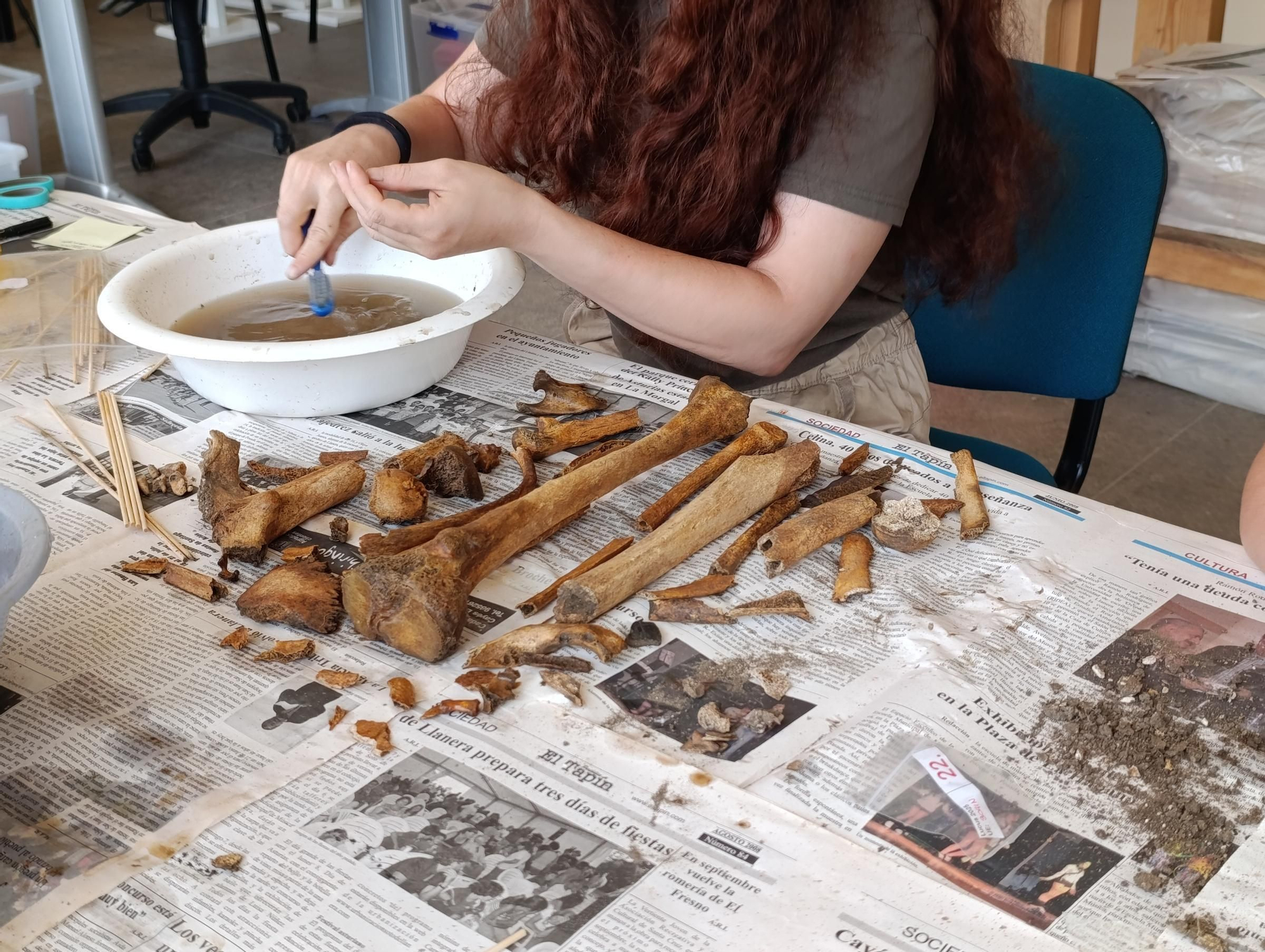 Así se trabaja en el laboratorio de "Lucus Asturum" en Villabona