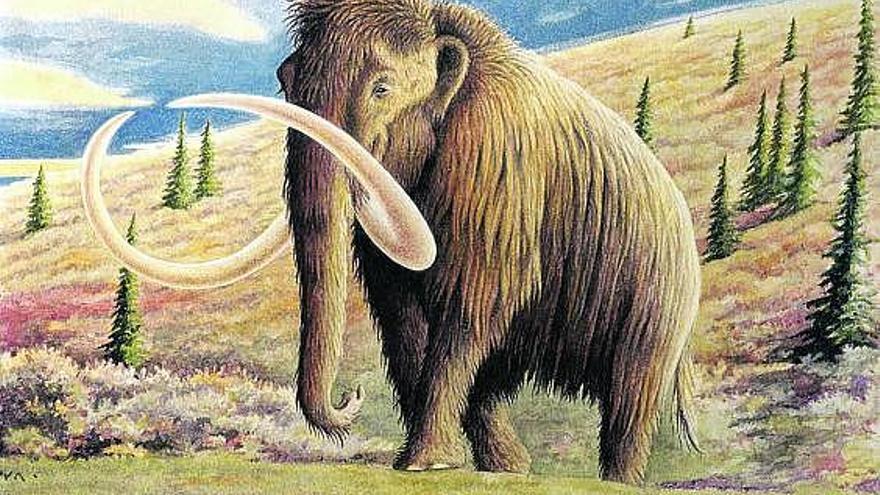 Mamut como los que se encontraban en Asturias hace 40.000 años.