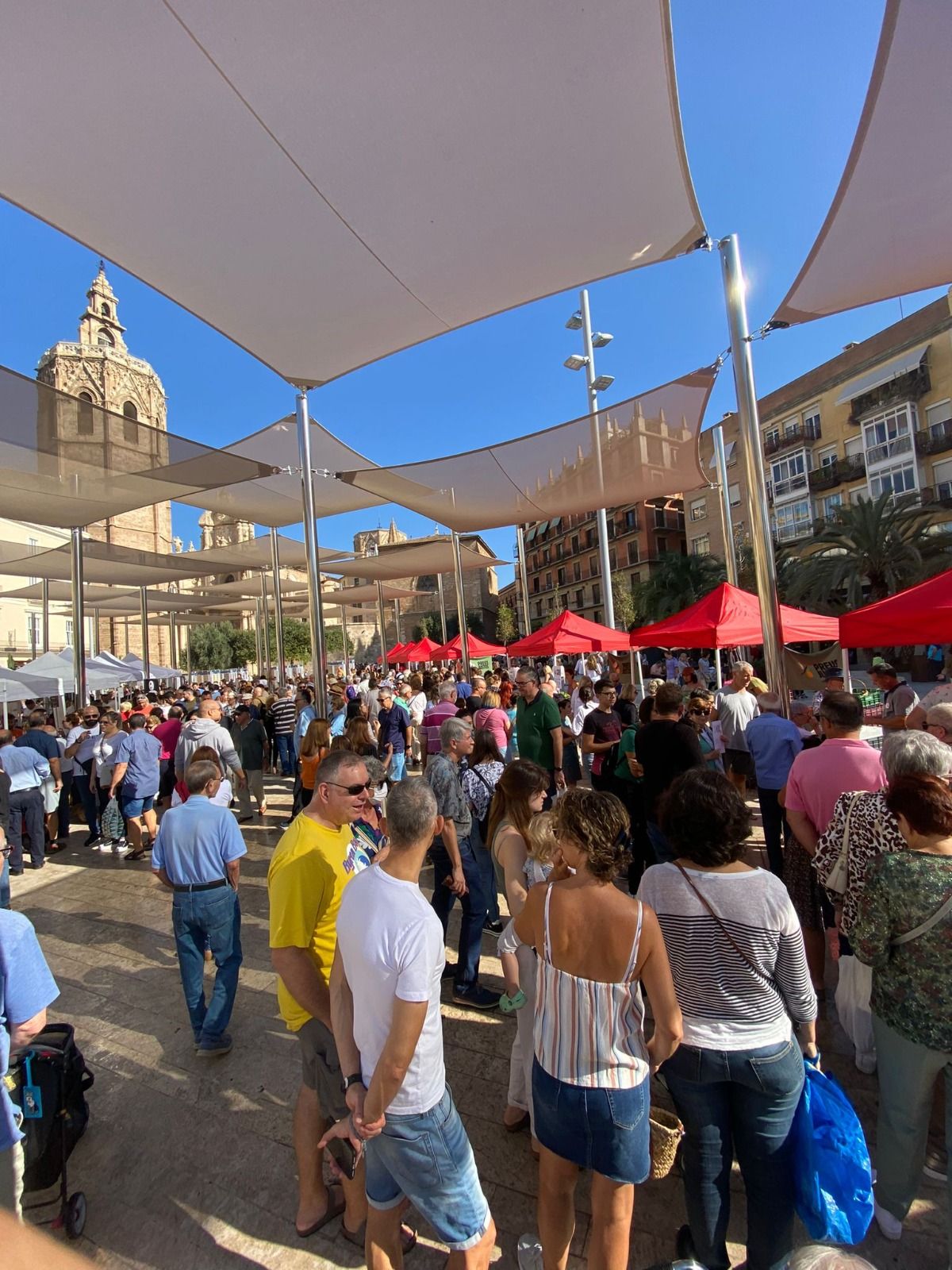 ASistencia a la Plaza de l reina