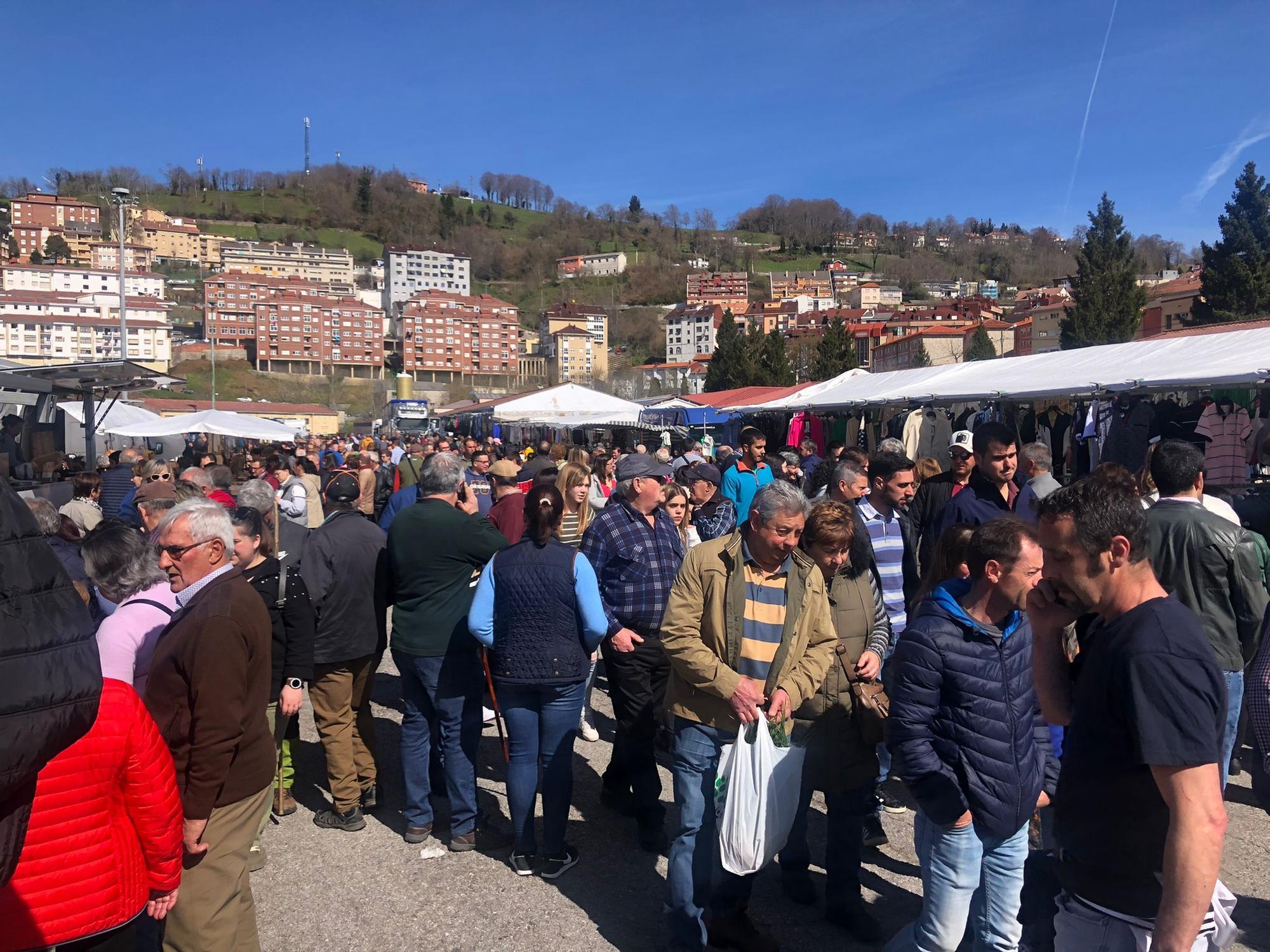 Tineo disfruta la feria ganadera de San José