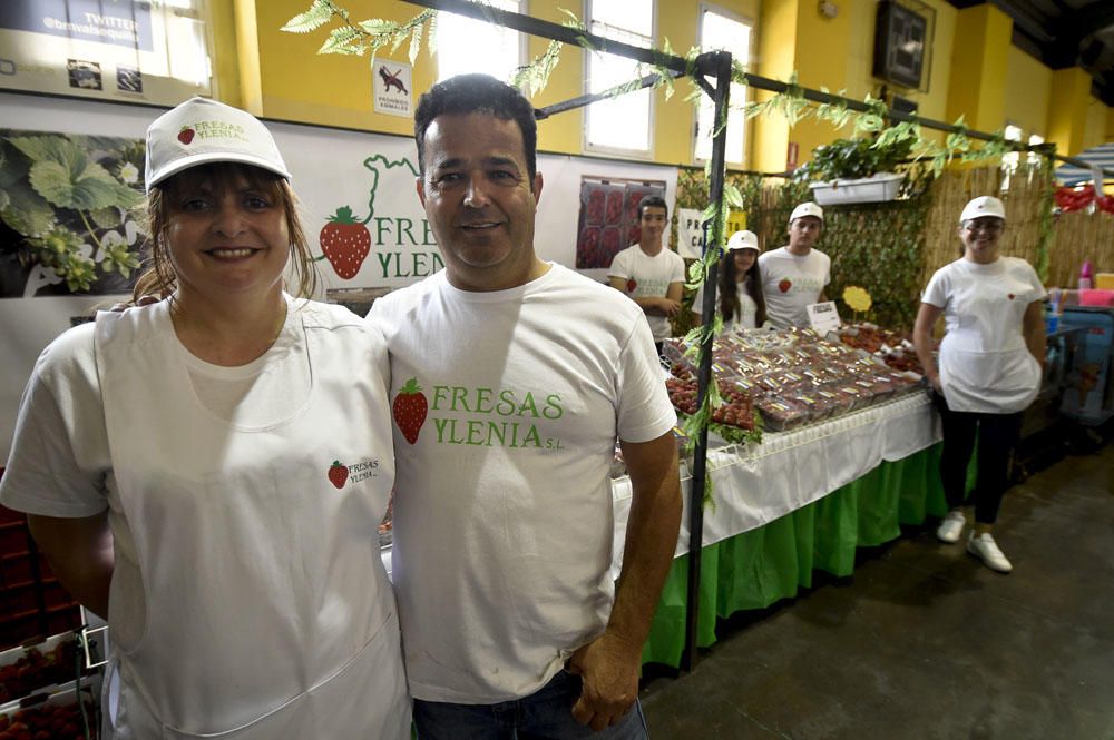 Feria de la fresa de Valsequillo, 2017