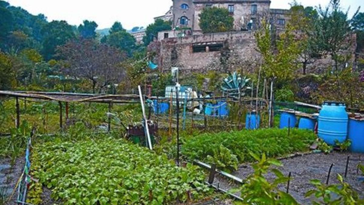 Los huertos del valle de Can Masdeu, uno de los usos del parque que los vecinos quieren potenciar.