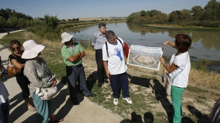 Las algas del Ebro aumentarán su presencia los próximos años