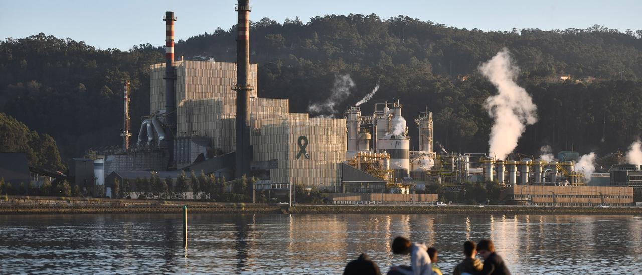 Fábrica de Ence en Lourizán, Pontevedra