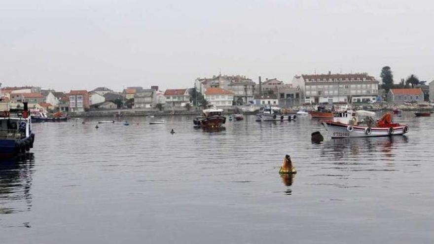 El litoral isleño espera respuestas que permitan la regularización de las viviendas existentes. // Noé Parga