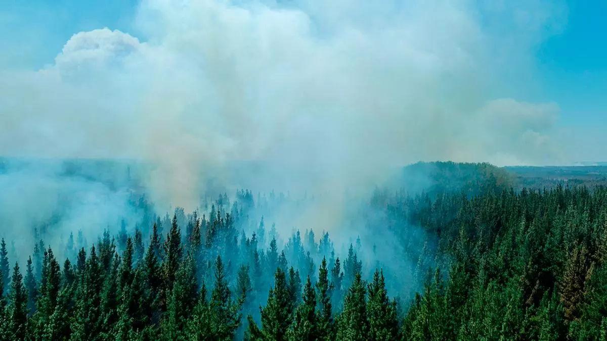 Por el humo se sabe dónde está el peligro