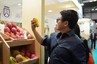 Los plátanos aún ‘reinan’ pero las papayas causan furor en el exterior