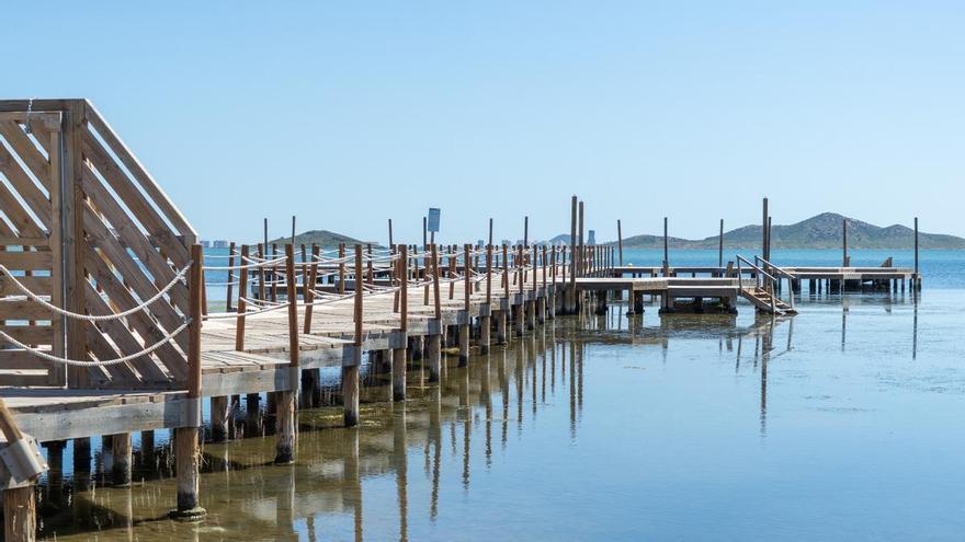 El 'gusano de barco' perfora los históricos balnearios del Mar Menor