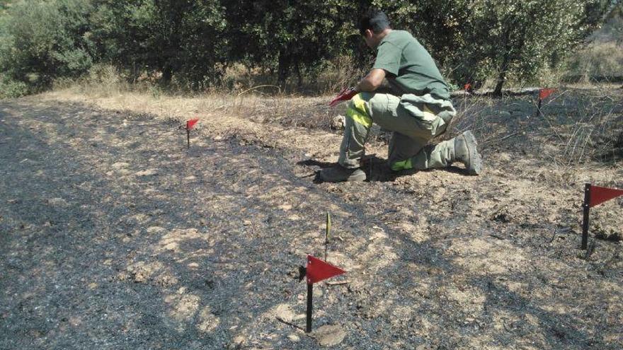 Uno de los técnicos en investigación, en el lugar del incendio