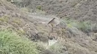 El cadáver aparecido en un barranco de Gran Canaria es de un hombre maniatado y amordazado