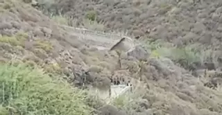El cadáver aparecido en un barranco de Guía es de un hombre maniatado y amordazado