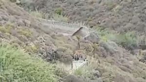 Hallan un cadáver en la zona que se buscó a Juana Ramos en Gran Canaria