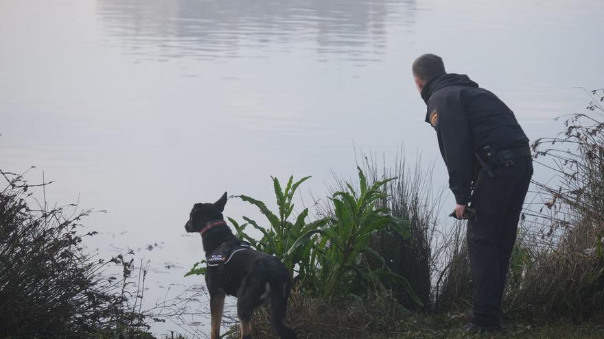 Una semana de la desaparición de la mujer de Badajoz: la Unidad Canina de la Policía Nacional de Madrid se incorporan a la búsquedas