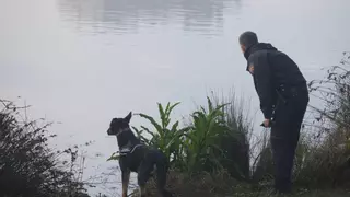 Los perros Ela, Niyún y Arco buscan a la mujer desaparecida en Badajoz