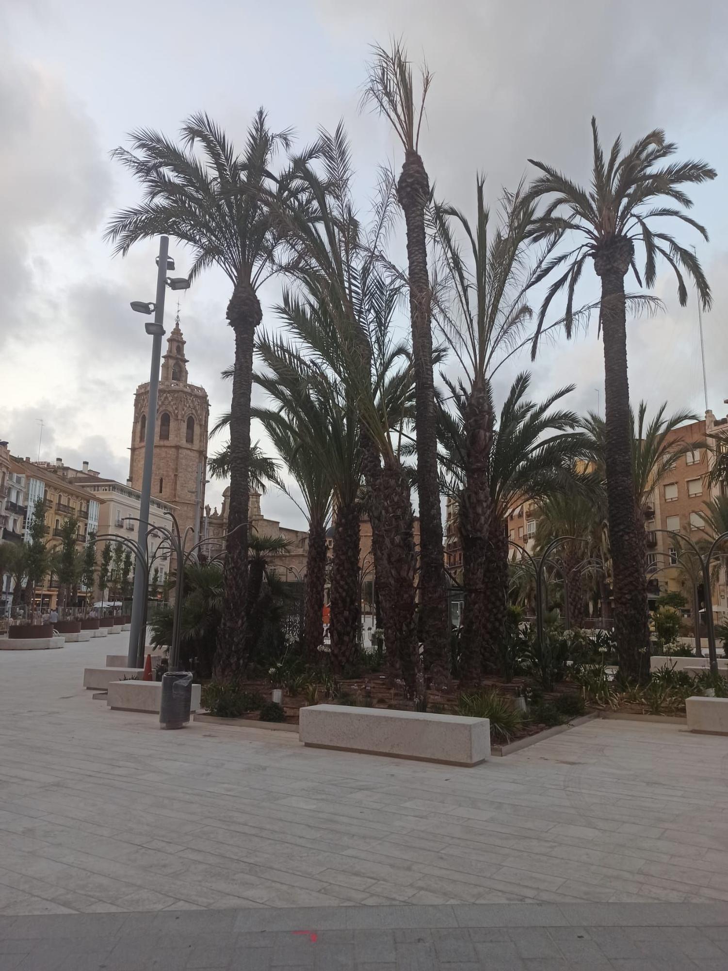 Retiran las lonas de las plaza de la Reina a la espera de su apertura